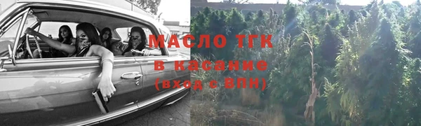 мет Алексин