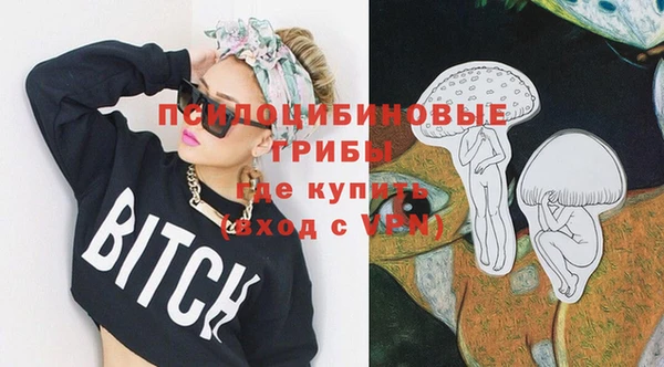 spice Алзамай