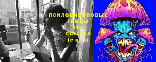 прущий лед Осинники