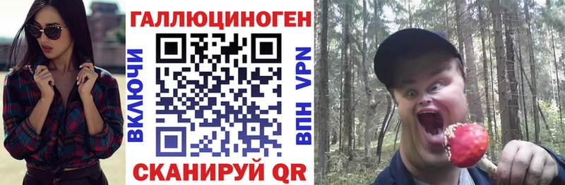 Псилоцибиновые грибы Psilocybe  Хадыженск 