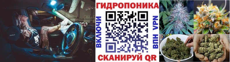 Шишки марихуана индика  где найти наркотики  Хадыженск 